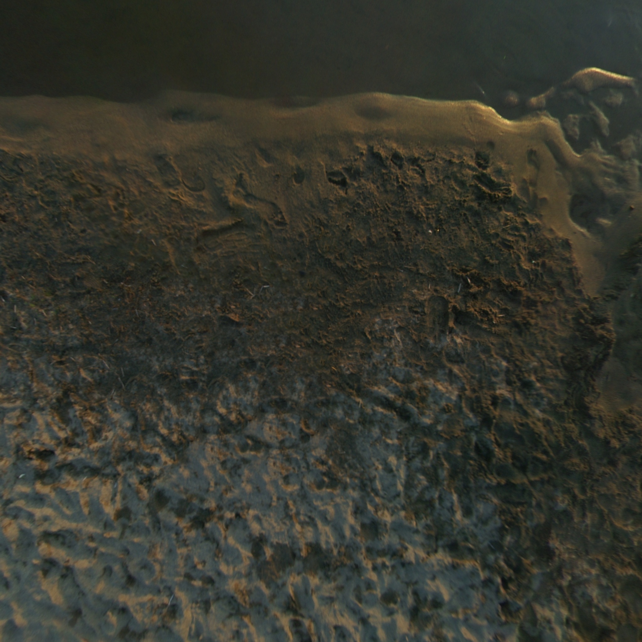 cube map image for negative y