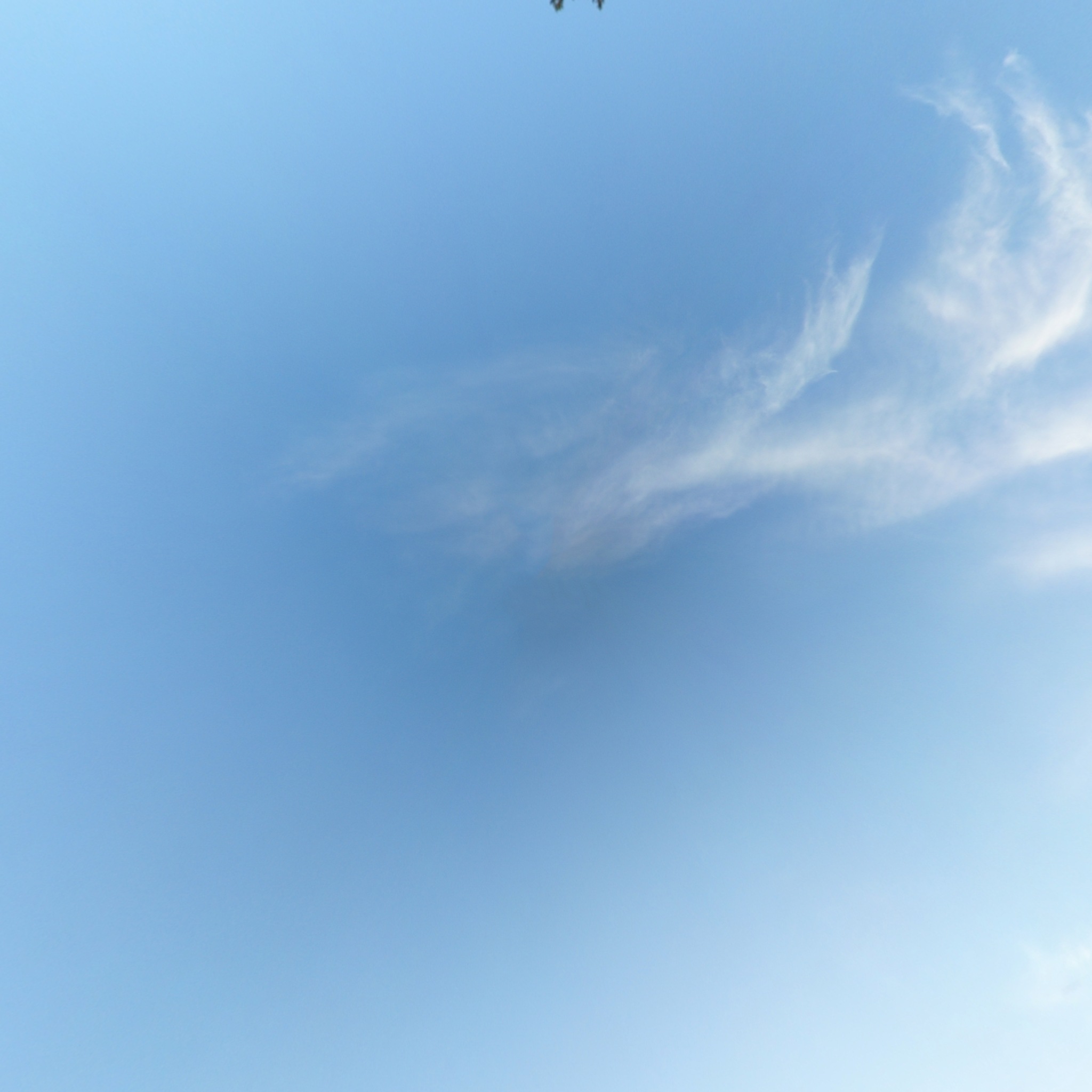 cube map image for positive y